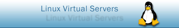 Virtual Server